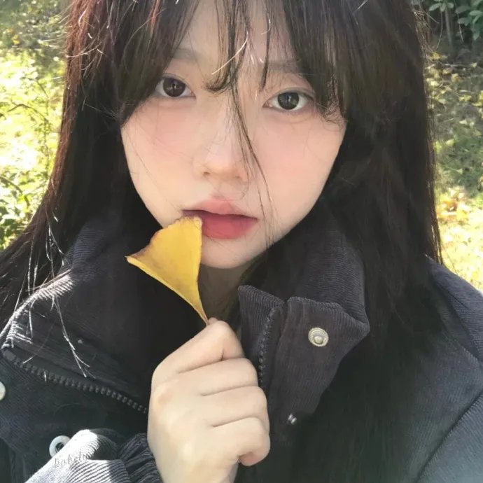 俏佳人